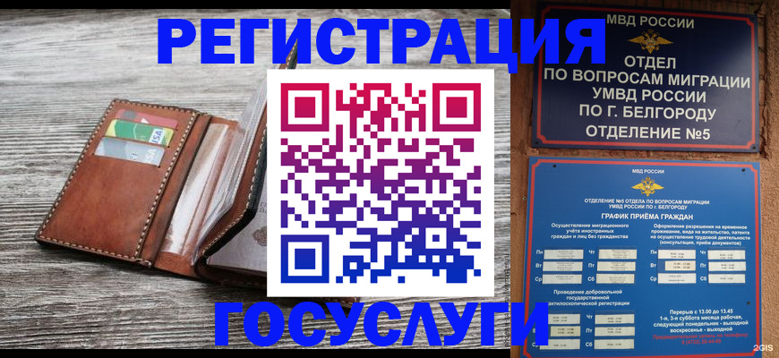 временная регистрация гарантия в Новом Осколе